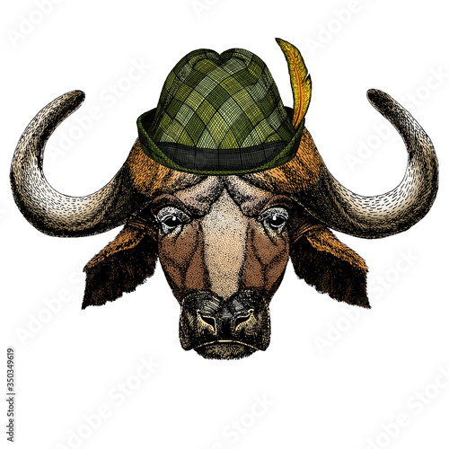 Portrait of buffalo, bison, bull, cow. Austrian bavarian tirol hat. Beer festival. Oktoberfest.
