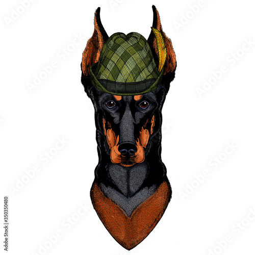Dog, doberman. Austrian bavarian tirol hat. Beer festival. Oktoberfest.