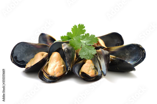 mussels isolated on white background