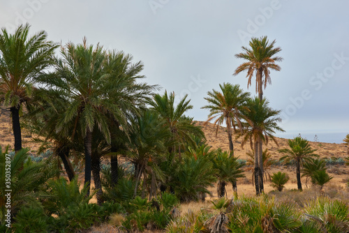 The desert of Almeria
