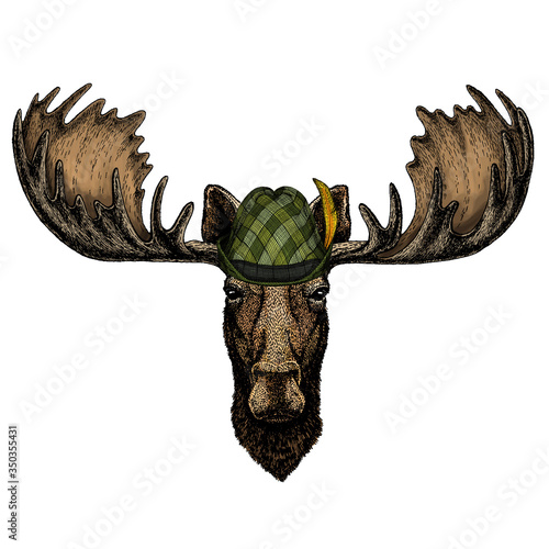 Moose head. Portrait of funny animal. Austrian bavarian tirol hat. Beer festival. Oktoberfest.