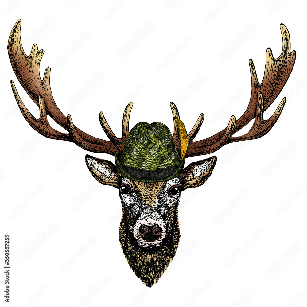 Deer portrait. Head of wild animal. Austrian bavarian tirol hat. Beer festival. Oktoberfest. - obrazy, fototapety, plakaty 