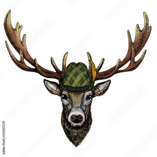 Deer portrait. Head of wild animal. Austrian bavarian tirol hat. Beer festival. Oktoberfest.