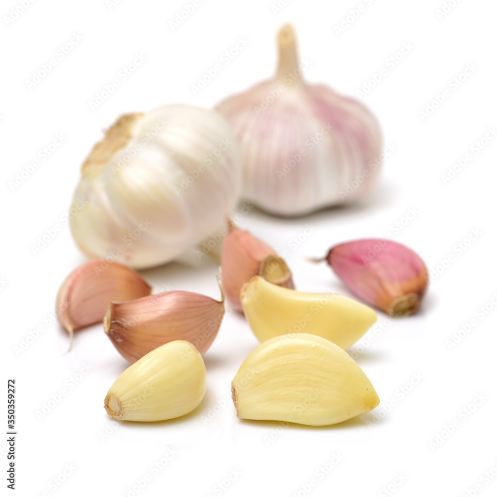 fresh garlic isolated on white background fresh garlic isolated on white background