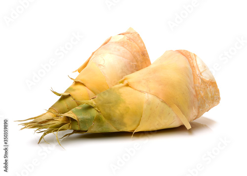 Bamboo shoot on the white background