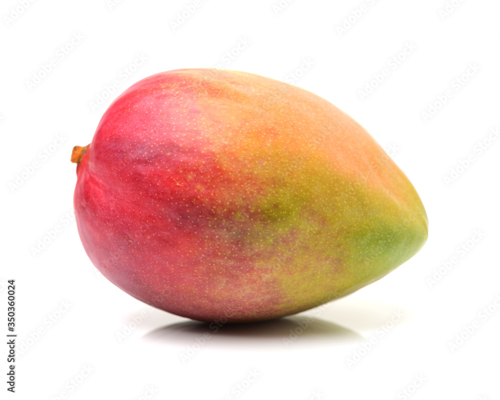 mangos on a white background mangos on a white background