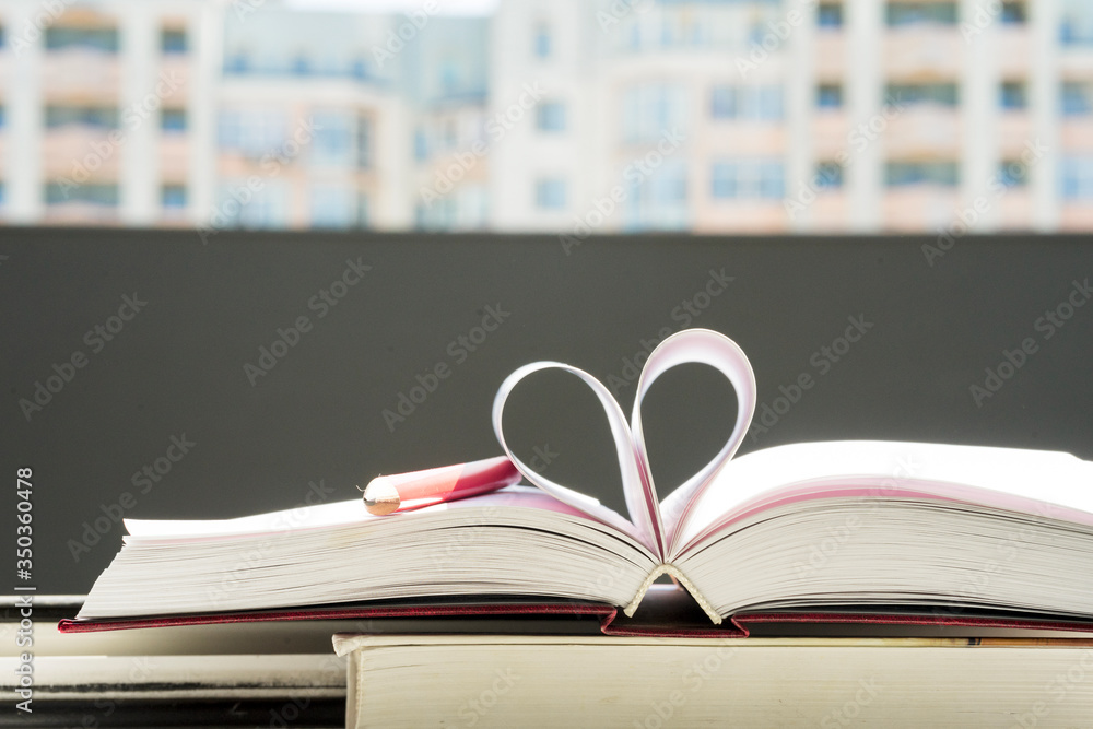 Fototapeta premium Books in the window with city view. Copy space for text