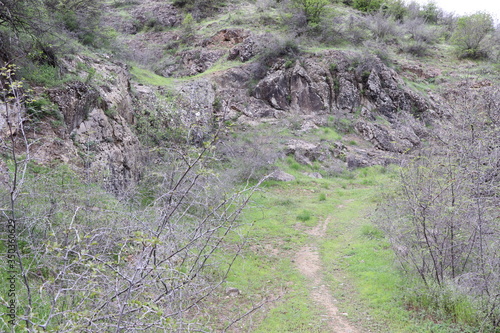 A mountain path leads to the village. The narrow path is surrounded on both sides by thorn bushes. The rocks are covered with fresh green grass.