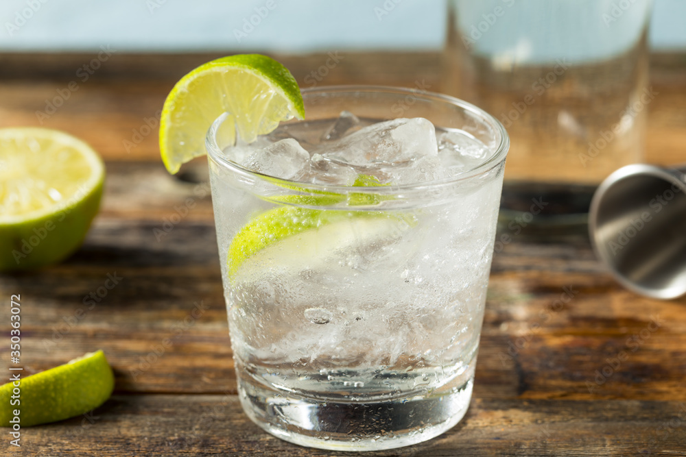 Refreshing Boozy Gin and Tonic Refreshing Boozy Gin and Tonic
