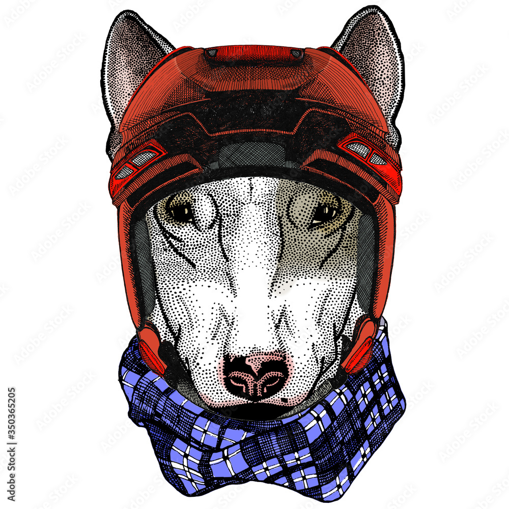 Naklejka premium Bullterrier, dog. Portrait of cartoon animal.