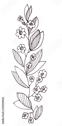 graphic black and white drawing twig with narrow leaves and small flowers