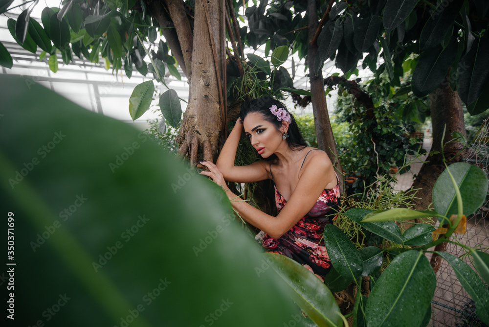 A young beautiful brunette posing among dense thickets of jungle and rainforest. Spa A young beautiful brunette posing among dense thickets of jungle and rainforest. Spa