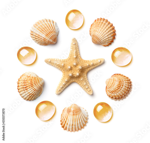 Pattern in the form of a circle of sea shells and starfish isolated on a white background.
