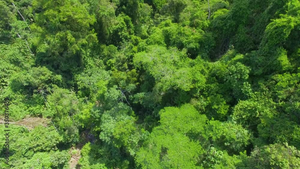 Jungle Waterfall at Gandoca Manzanillo National Wildlife Refuge. Bribri Costa Rica Drone Video Jungle Waterfall at Gandoca Manzanillo National Wildlife Refuge. Bribri Costa Rica Drone Video