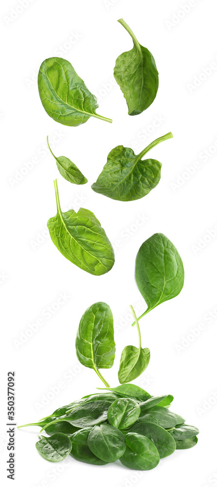 Set with fresh green spinach leaves falling on white background Set with fresh green spinach leaves falling on white background
