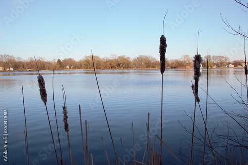 lake in the morning