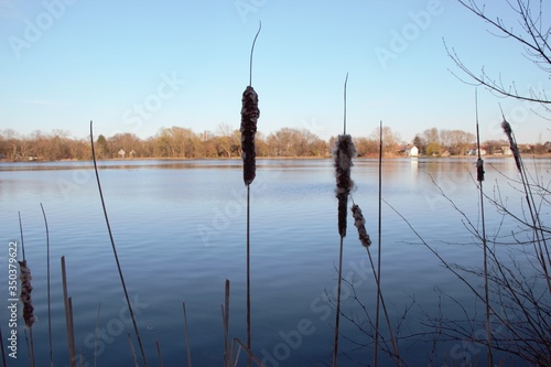 fishing in the lake