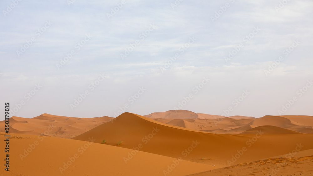 Sahara desert. Merzouga Morocco.