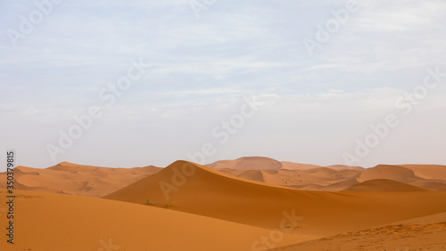 Sahara desert. Merzouga Morocco. © nadyalargo