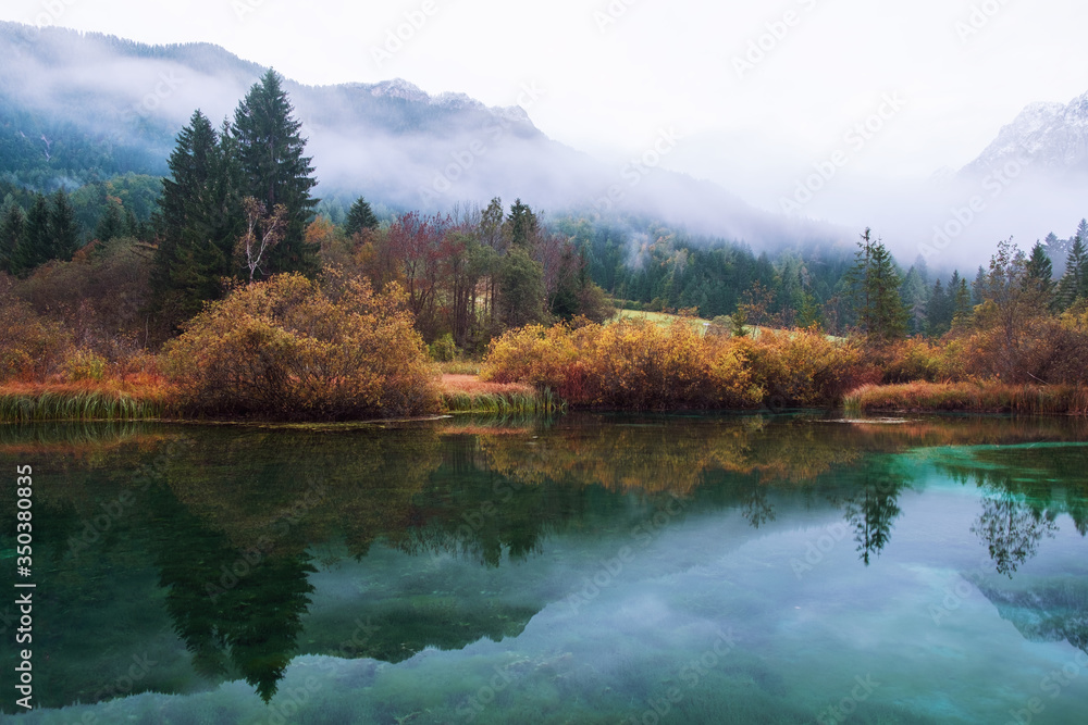 Fototapeta premium Autumn in Zelenci nature reserve