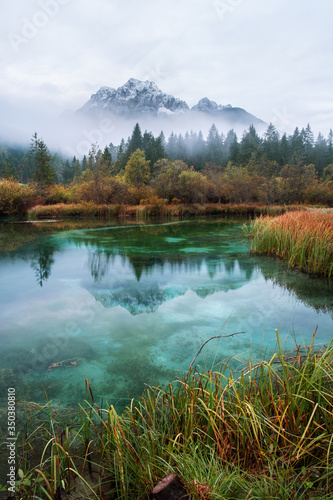 Autumn in Zelenci nature reserve