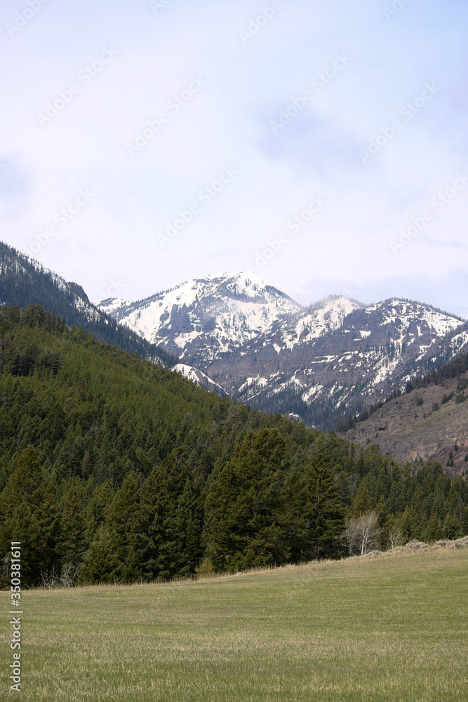 Forested Lands with Mountain and Prarie