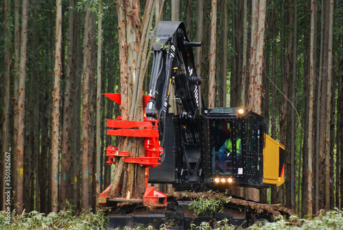 Foto Logging Equipment Forest Machine