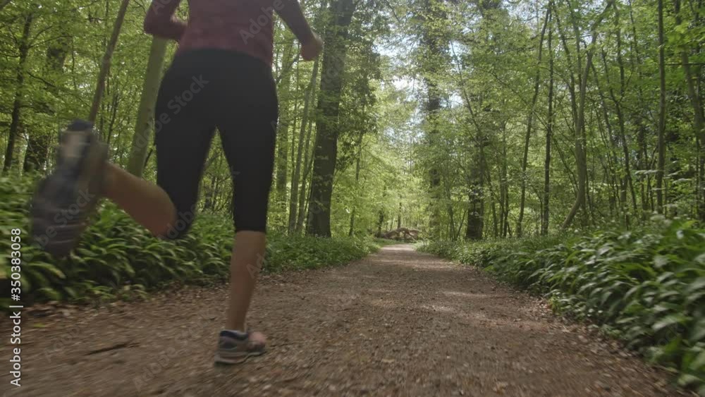 Tracking Shot of Forest Trail and a Woman Sprinting Along the Path Tracking Shot of Forest Trail and a Woman Sprinting Along the Path