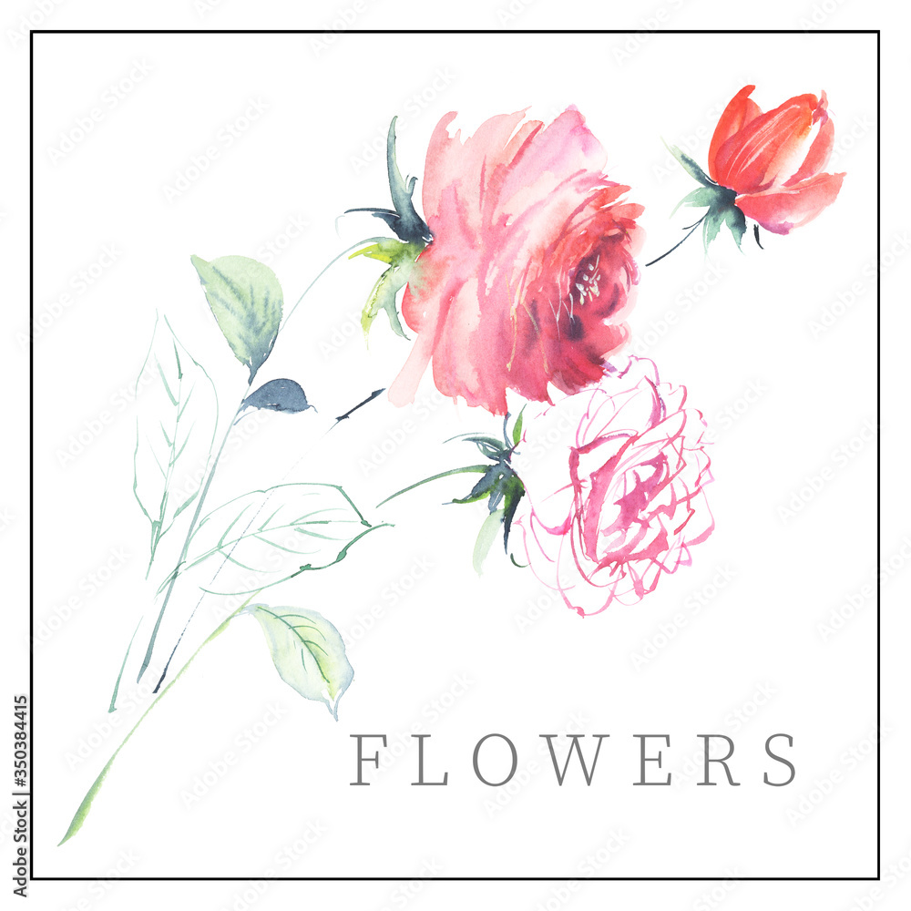 Fototapeta premium Watercolor flowers illustration