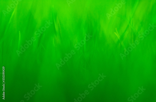 Green abstract background