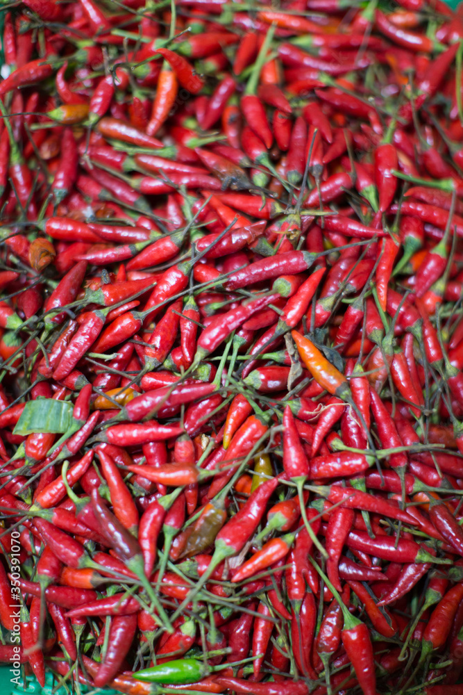 red chili pepper chilies on a market displayed with
depth of field photography red chili pepper chilies on a market displayed with
depth of field photography