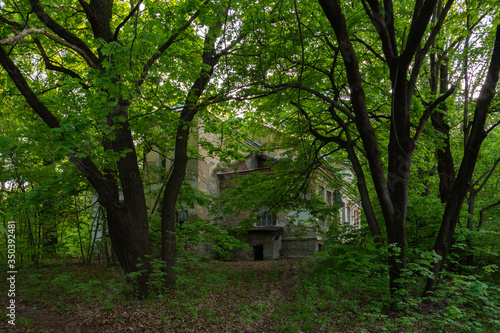 Abandoned ruined building in a dense forest