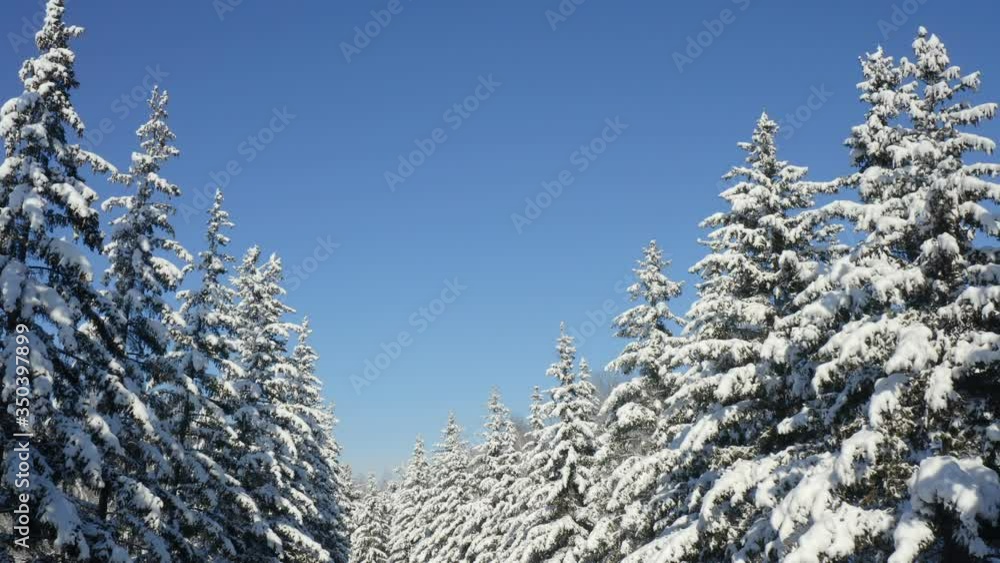 Breathtaking fly over frozen snowy fir and pine trees . Nature concept. Winter time, coziness, enjoying the landscape. No people around, wild nature Breathtaking fly over frozen snowy fir and pine trees . Nature concept. Winter time, coziness, enjoying the landscape. No people around, wild nature