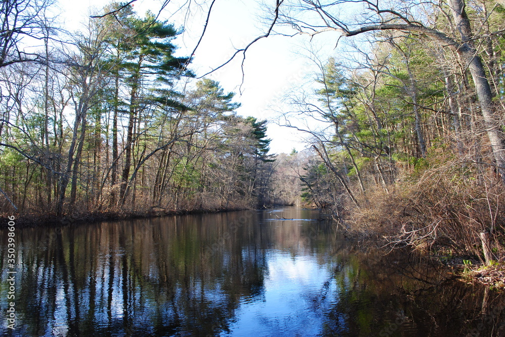Early springtime river landscapes in northeastern US temperate forest Early springtime river landscapes in northeastern US temperate forest