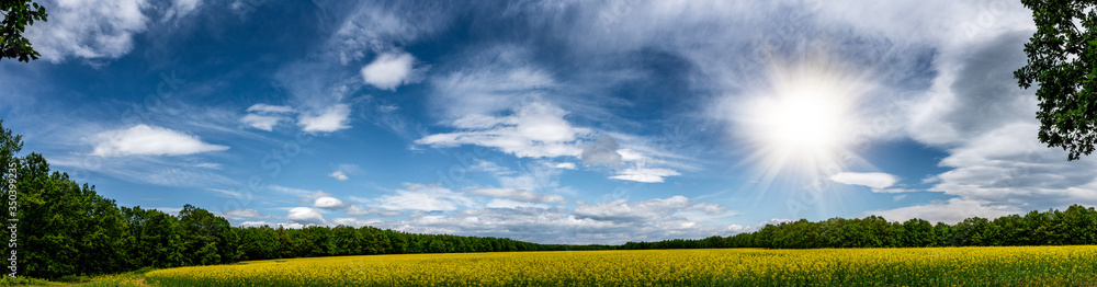 Obraz premium Beautiful yellow field