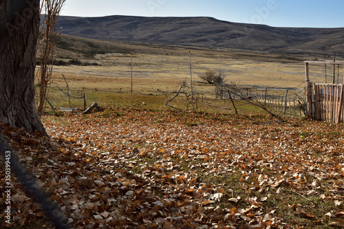 Fototapeta Naklejka Na Ścianę i Meble -  Colchón de hojas secas con colinas y cielo azul de fondo en otoño