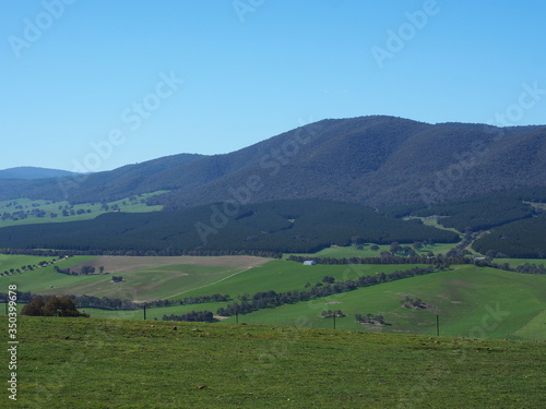 wide grassland 