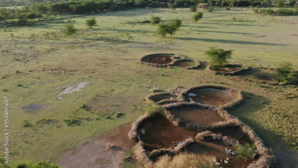 Aerial drone shot flying around a shelter with animals going in the savannah next to Lake Manyara, Tanzania. Sunset. Aerial drone shot flying around a shelter with animals going in the savannah next to Lake Manyara, Tanzania. Sunset.