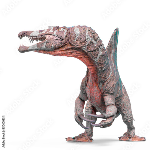 spinosaurus looking for food in white background photo