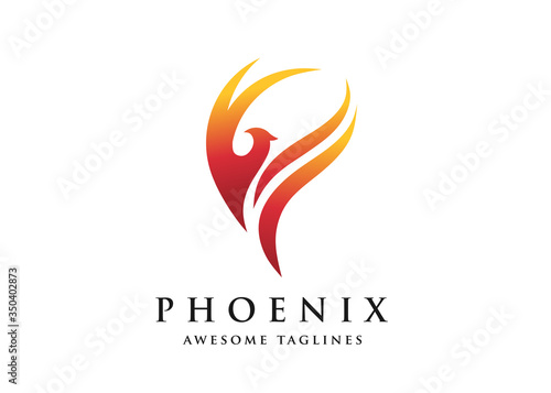 fire bird phoenix logo design vector illustrations graphic.