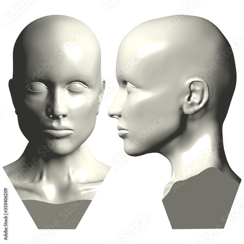 Mannequin Woman Head Vector. Illustration Isolated On White Background. A Vector Illustration Of Mannequin Background.