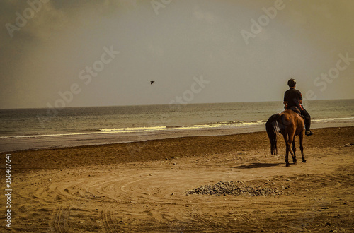 Riding Horse in Deserted Beach