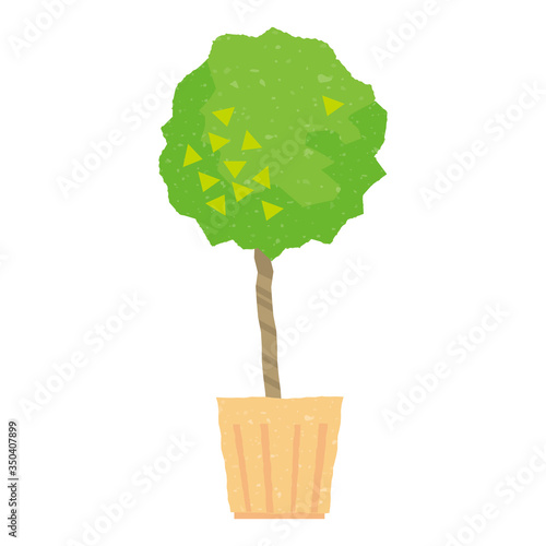 観葉植物