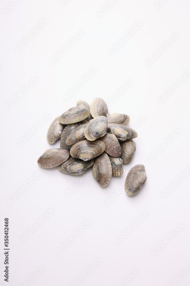 Clams Clams