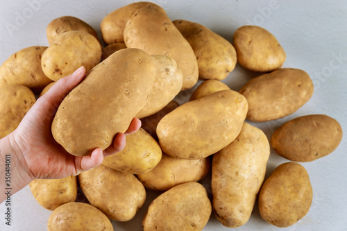 Woman holds a big potato in hand. photo