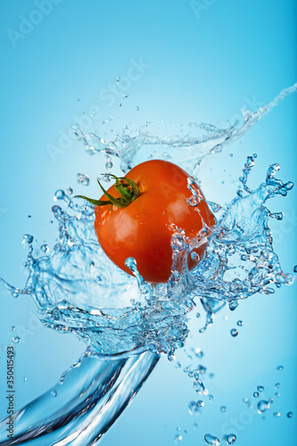 Tomato with splashing water against a blue background