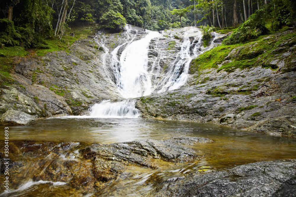 Fototapeta premium Natural waterfall at Cameron Highlands, Malaysia
