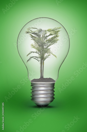 Green plant in a light bulb