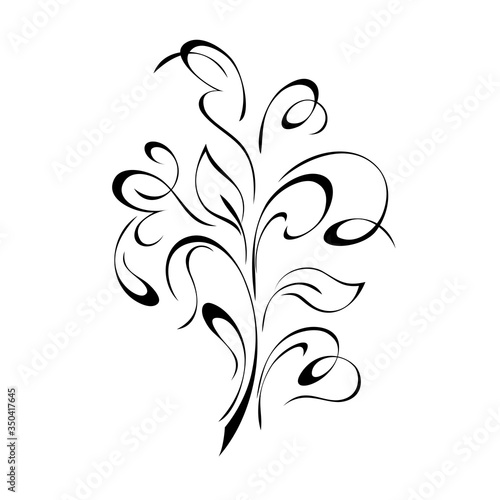 ornament 1168. unique stylized twig with leaves and curls in black lines on a white background