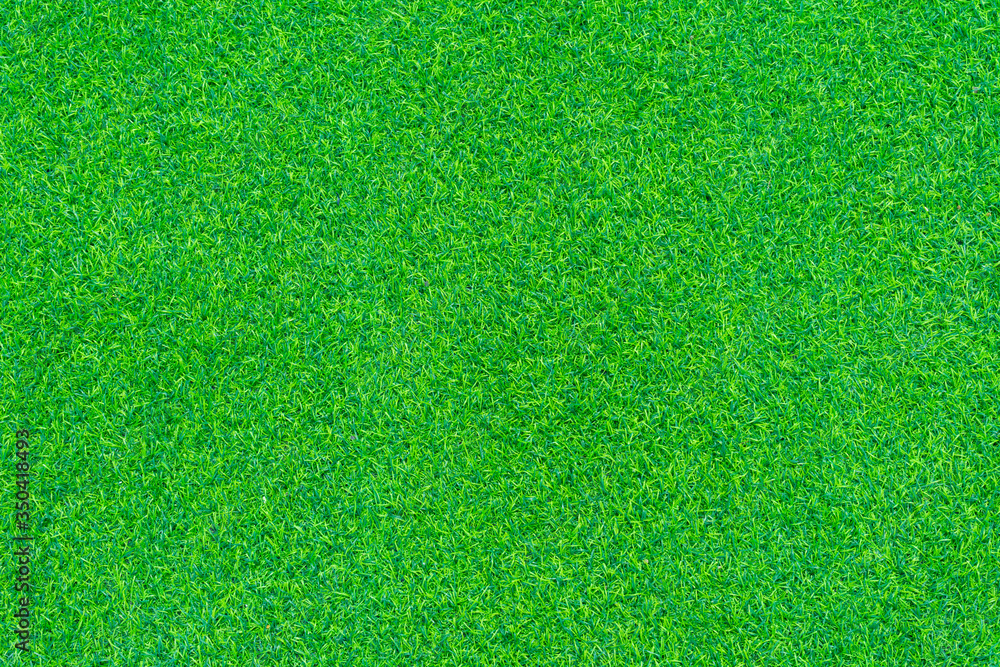 Fototapeta premium Artificial grass texture